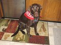 2010-07-17 Hemi_0007
